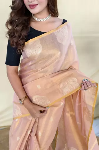 light pink tissue saree with zari elephant border design
