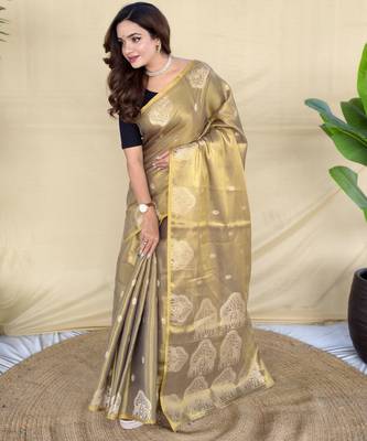 green tissue saree with zari elephant motif border 2