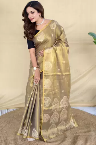 green tissue saree with zari elephant motif border