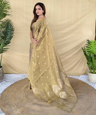 green tissue saree with zari elephant motif border 5