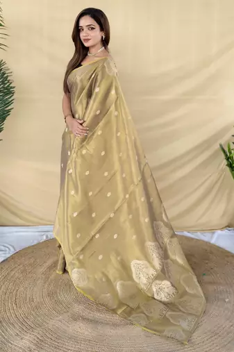 green tissue saree with zari elephant motif border