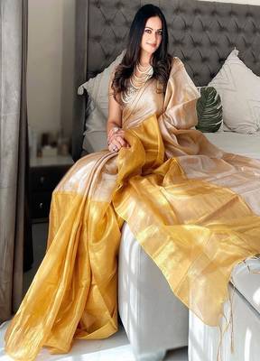 Colourblocked printed tissue saree 3