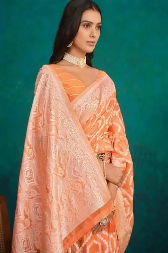 Ethnic motifs woven design zari banarasi saree