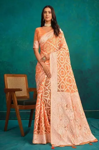 Ethnic motifs woven design zari banarasi saree
