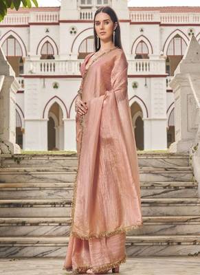 Sequinned organza saree 2