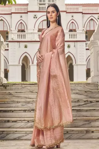 Sequinned organza saree