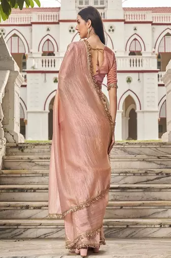 Sequinned organza saree