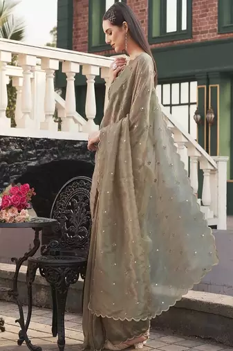 brown polyester saree with mirror detail work