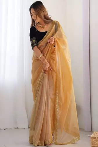 Sequinned net saree
