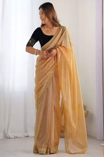 Sequinned net saree