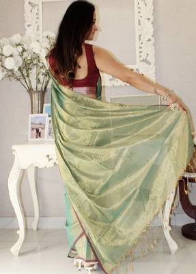 Women woven design tissue saree 2