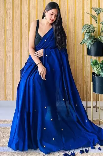 Embellished saree