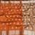 Orange  Color Jaqurad Weaving Lotus Butti  Work  Tuser Silk Saree