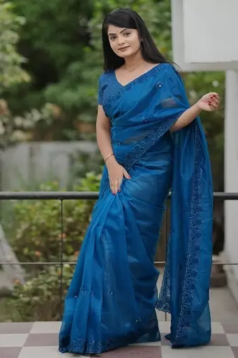 Blue Color Malti Thread & Sequence Embroidery work Net Saree