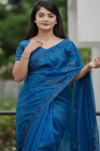 Blue Color Malti Thread & Sequence Embroidery work Net Saree
