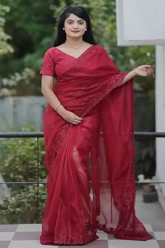 Maroon Color Malti Thread & Sequence Embroidery work Net Saree