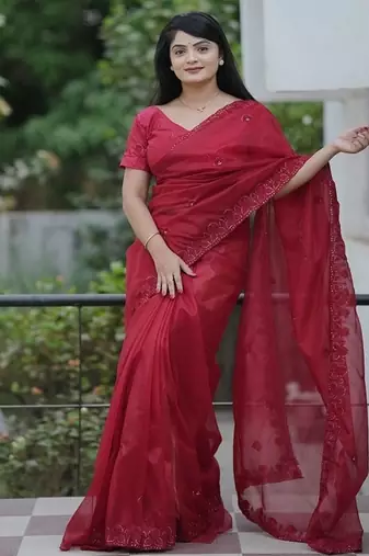 Maroon Color Malti Thread & Sequence Embroidery work Net Saree