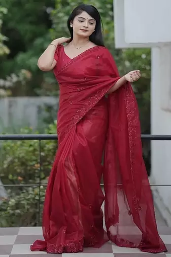 Maroon Color Malti Thread & Sequence Embroidery work Net Saree