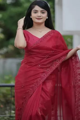 Maroon Color Malti Thread & Sequence Embroidery work Net Saree