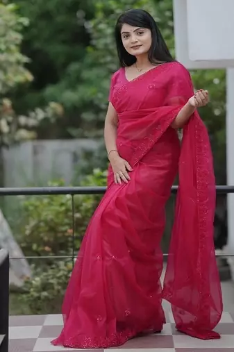Pink Color Malti Thread & Sequence Embroidery work Net Saree