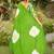 Green floral print soft pure cotton saree with blouse.