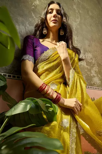 Neon silk chiffon embellished saree with unstitched blouse piece