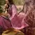 Onion georgette bandhni saree with unstitched blouse piece