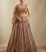 Brown Heavy Sequin Work A-Line Lehenga Choli Set