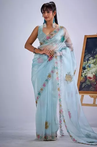 Sky color soft oregenza tissue handwork zircon border saree