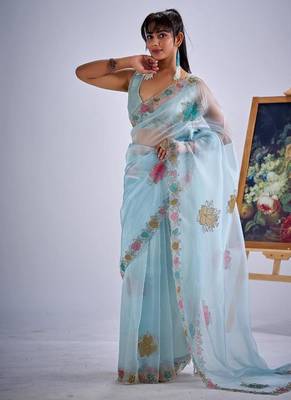 Sky color soft oregenza tissue handwork zircon border saree 2