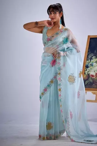 Sky color soft oregenza tissue handwork zircon border saree