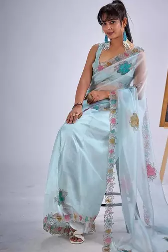 Sky color soft oregenza tissue handwork zircon border saree