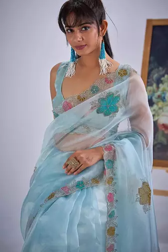 Sky color soft oregenza tissue handwork zircon border saree