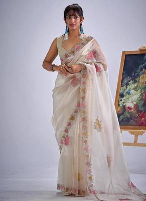 Chiku color soft oregenza tissue handwork zircon border saree 1