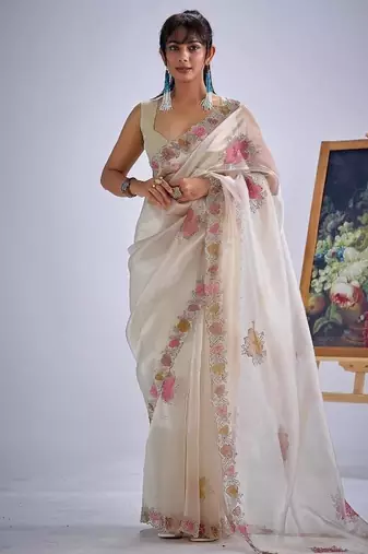 Chiku color soft oregenza tissue handwork zircon border saree