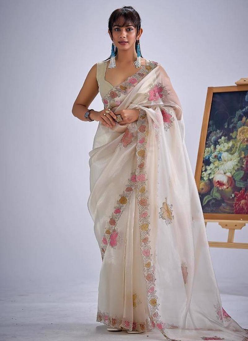 Chiku color soft oregenza tissue handwork zircon border saree