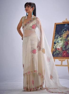 Chiku color soft oregenza tissue handwork zircon border saree 2