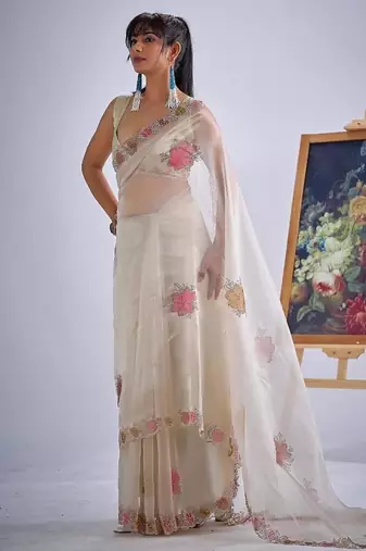 Chiku color soft oregenza tissue handwork zircon border saree