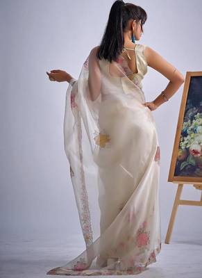 Chiku color soft oregenza tissue handwork zircon border saree 3