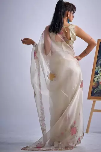 Chiku color soft oregenza tissue handwork zircon border saree