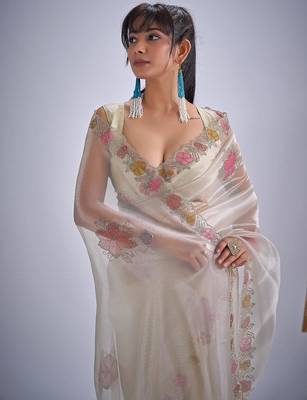 Chiku color soft oregenza tissue handwork zircon border saree 4