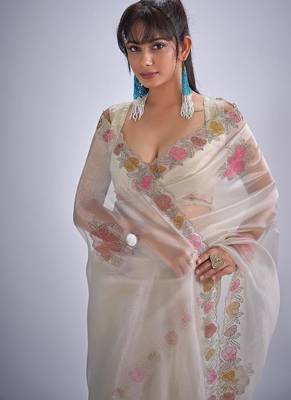 Chiku color soft oregenza tissue handwork zircon border saree 5