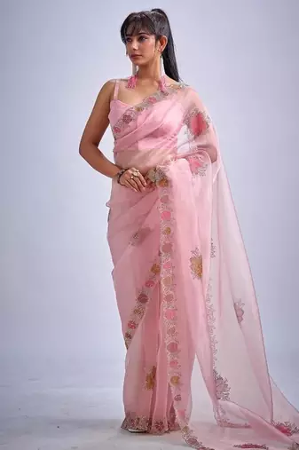 Pink color soft oregenza tissue handwork zircon border saree