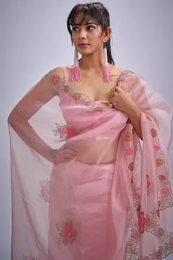 Pink color soft oregenza tissue handwork zircon border saree