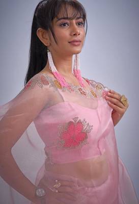 Pink color soft oregenza tissue handwork zircon border saree 5