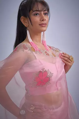 Pink color soft oregenza tissue handwork zircon border saree