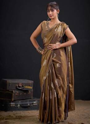 Mouse color fendi silk blend two ton with foil handwork zircon work saree 2
