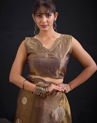 Mouse color fendi silk blend two ton with foil handwork zircon work saree 4