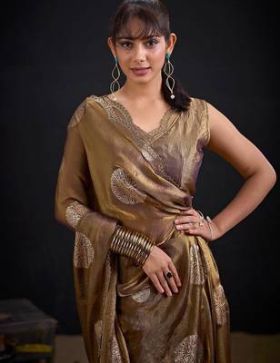 Mouse color fendi silk blend two ton with foil handwork zircon work saree 5