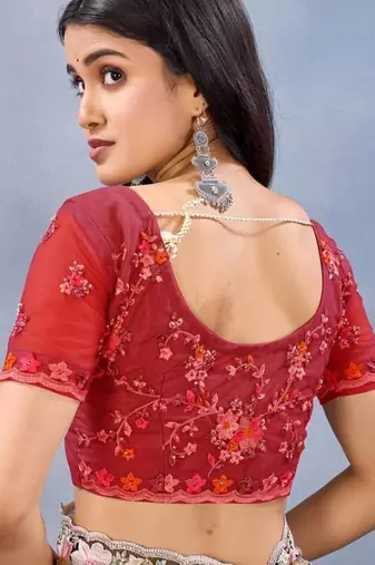 Red color net resham embroidered & handwork zircon work saree